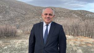 Hayvanların aşılama bedellerini belediyeler karşılayacak 