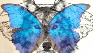 İlişkinizde Ne Kadar Sadıksınız? Bu İllüzyon Testi İle İlişkinizdeki Güvenirliği Ortaya Çıkarın!