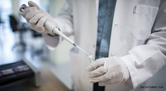 İnsan kanında plastik görülmesi ne anlama geliyor?