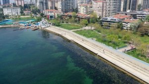 İstanbul'da bazı sahillerde müsilaj benzeri kirlilik görüldü