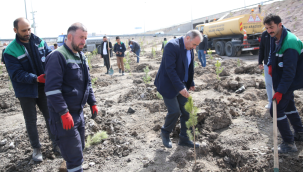 Kayseri Büyükşehir, baharın gelmesi ile fidan dikimine başladı