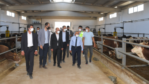 Kayseri Büyükşehir'den Büyükşehir'den Tarıma 3 Ayda 25 Milyon TL'lik 3 Bin Ton 