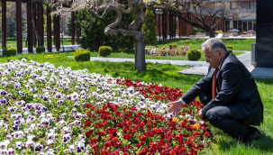 Kayseri Büyükşehir'den daha yeşil bir Kayseri için 66 milyonluk harcama