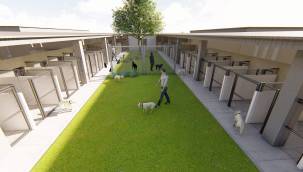 Kayseri’ye yapılacak yeni hayvan barınağı, ihale aşamasına geldi