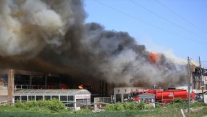  Kırklareli'nde mobilya fabrikasında çıkan yangın kontrol altına alındı