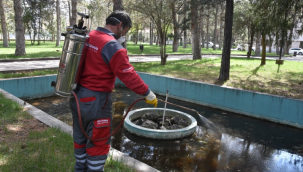 Kocasinan Belediyesi haşere ile mücadeleye başladı