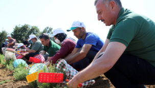 Kooperatif ve birliklere hibe desteği başvuruları 22 Nisan'da sona eriyor