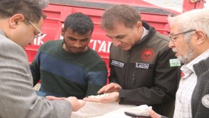 Mucur'da aspir ekimine başlandı