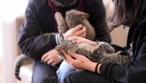 Öğrencilerin sahip çıktığı 'Şanslı' ve 'Üzüm'ün yuvası okul oldu