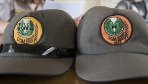 Orman Genel Müdürlüğü 5 bin geçici işçi alacak