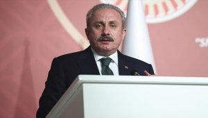 Şentop, HDP'li Paylan'ın sözde "Ermeni soykırımı" teklifini iade etti