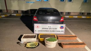 Sivas'ta uyuşturucu operasyonunda bir şüpheli gözaltına alındı