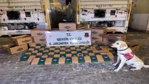 Süleyman Soylu: Mersin'de 258 kilo kokain yakalandı