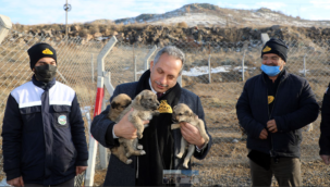 Talas Belediyesi 2,5 yıl önce hayata geçirmişti
