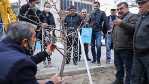 Talaslı çiftçilere uygulamalı aşı ve budama eğitimi