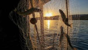 Tarım Bakanlığı açıkladı: Balıkçılıkta av yasağı ne zaman başlayacak?