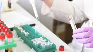 AB'de 8 ülkede 85 maymun çiçeği vakası tespit edildi