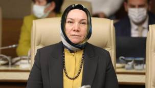 AK Partili Nergis’ten çocuk tavsiyesi