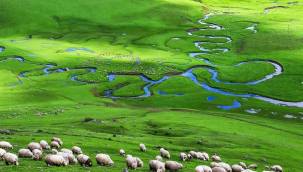 Altın arama ruhsatı verilen alan bakın neresi çıktı
