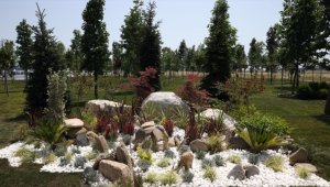 Atatürk Havalimanı Millet Bahçesi'ne 145 bin 300 ağaç dikilecek