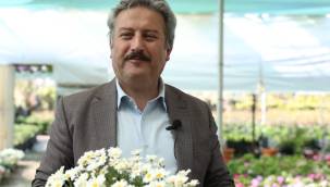 Başkan Dr. Mustafa Palancıoğlu'dan ANNNER GÜNÜ mesajı