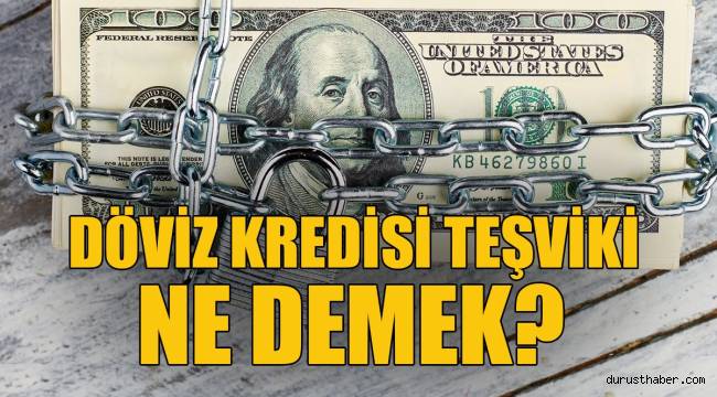 BDDK'dan Dolar Hamlesi: Döviz Kredisi Teşviki Ne Demek? Dolar Düşüşe Mi Geçecek? Yoksa...