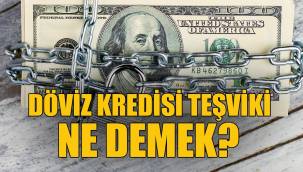 BDDK'dan Dolar Hamlesi: Döviz Kredisi Teşviki Ne Demek? Dolar Düşüşe Mi Geçecek? Yoksa...
