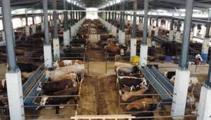 Bursa İnegöl Hayvan Pazarı kotra ihale tarihi belli oldu 