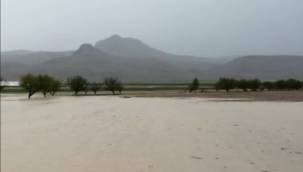 Dolu yağışı tarım arazilerinde hasara sebep oldu