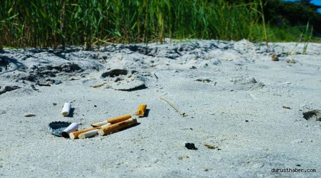 DSÖ: Dünyada en çok tütün ürünleri çöpe atılıyor