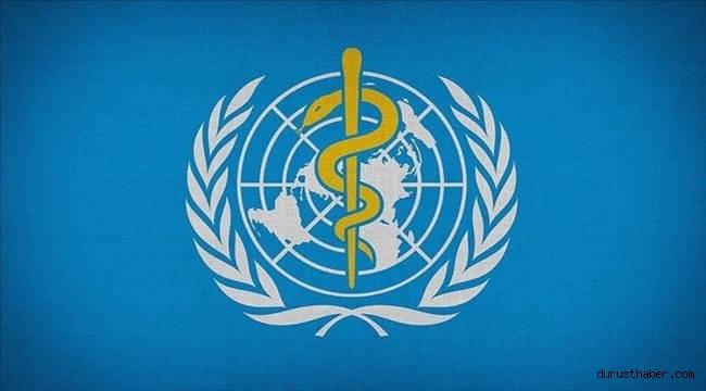 DSÖ, maymun çiçeği vakalarının 257'ye yükseldiğini açıkladı