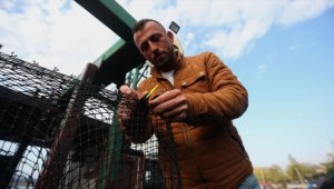 Düzce ve Kocaeli'de balıkçılar kıyı avcılığına hazırlanıyor
