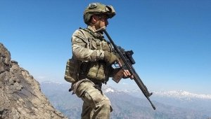 Etkisiz hale getirilen teröristin "turuncu kategori"de olduğu belirlendi