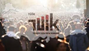 Gelir ve Yaşam Koşulları Araştırması açıklandı... Borç yiğidin kamçısı!