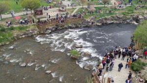 İnci kefallerinin tatlı sulara göçüne binlerce kişi tanıklık ediyor