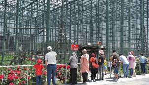 Kayseri Büyükşehir Belediyesi Hayvanat Bahçesinde yaz yoğunluğu