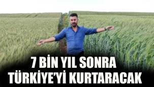 Kayseri 'de bulundu Diyarbakır'da Yaşama Döndürüldü