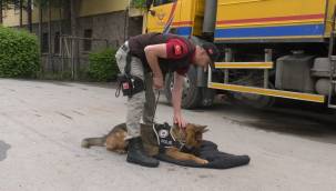 Kayseri'de Polisin can dostu 'Hassas Burunlar'