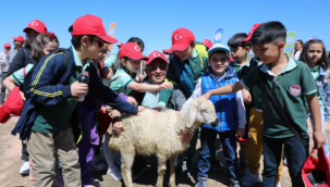 Kayseri'nin Talas ilçesinde minikleri heyecanlandıran kuzu katımı