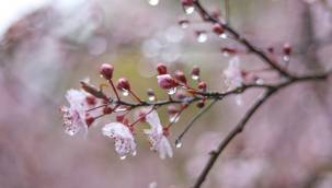 Kayseri yağışlı bir hafta geçirecek | 16 – 20 Mayıs 2022 haftası hava tahmini