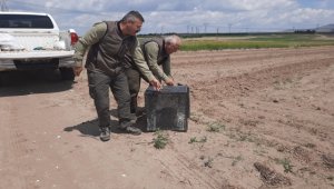 Kayseri'de kümese giren tilki ekipler tarafından doğal yaşam alanına bırakıldı