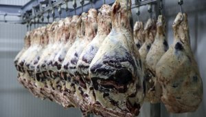 Kırmızı et üretimi 2021'de 2 milyon tona yaklaştı