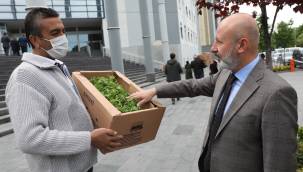 Kocasinan Belediyesi 500 bin kök organik domates fidesi dağıttı