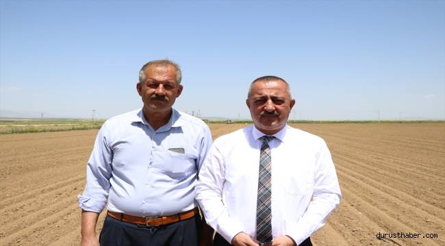 Kuru fasulyenin üretim merkezi Niğde'de ekim çalışmaları devam ediyor