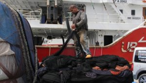 Mavi yüzgeçli orkinos avcılığı 15 Mayıs'ta başlıyor