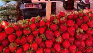 Semt pazarında bu haftanın fiyatları 