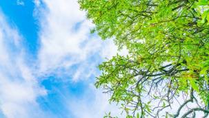 Yağışlar azalıyor, sıcaklıklar yükseliyor| 9 – 13 Mayıs 2022 haftası hava tahmini