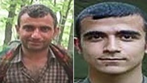 'Yeşil' ve 'gri' kategoride aranan iki terörist etkisiz hale getirildi