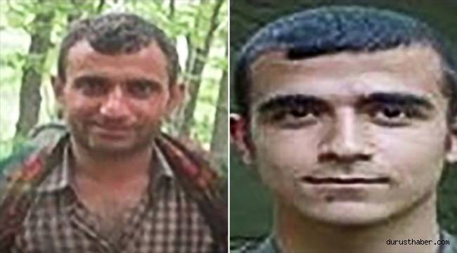 'Yeşil' ve 'gri' kategoride aranan iki terörist etkisiz hale getirildi