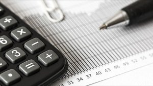 10 soruda 'gelire endeksli devlet iç borçlanma senedi'